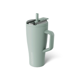 Era Flip 30oz Sage